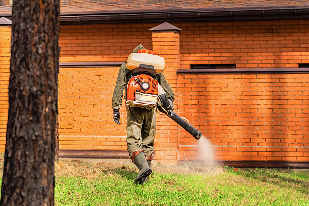 Bed Bug Clearance Verification and Documentation in Yardley